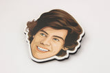 Harry Styles Magnet Set - Set of 3 Magnets!