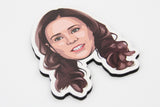 Office Magnet Set - Set of 17 Magnets!